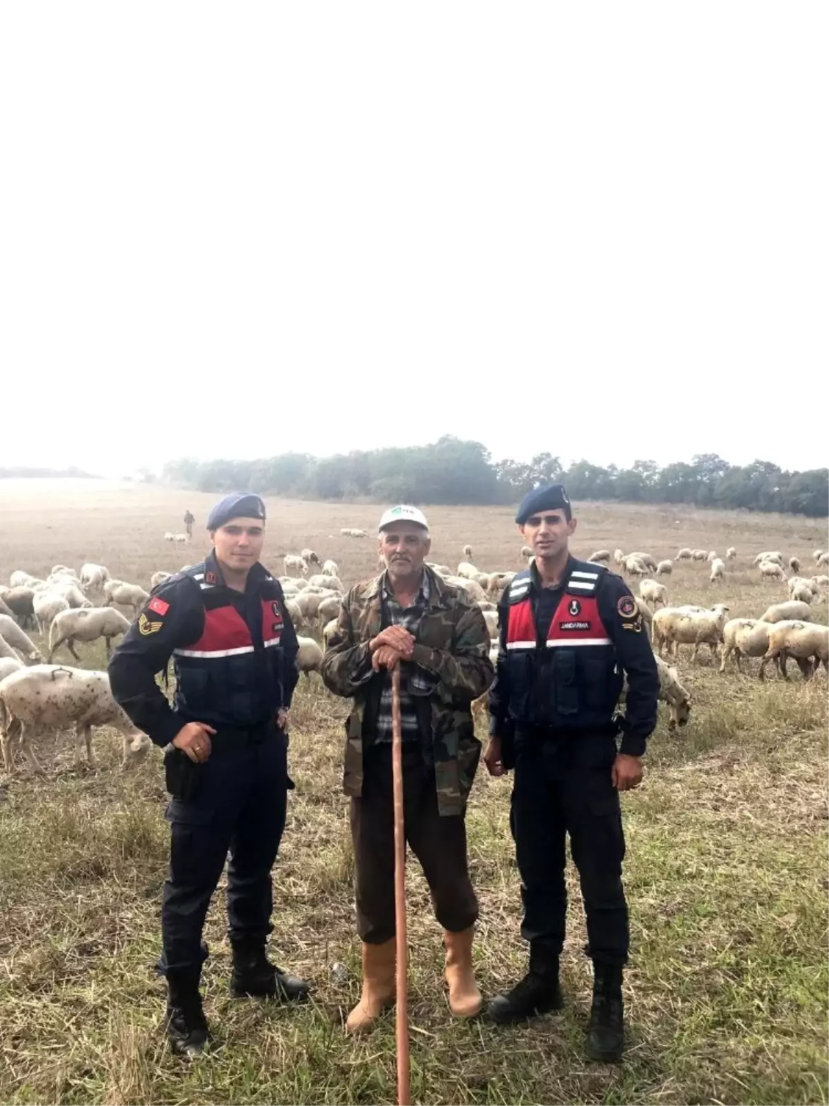 Çaldığı koyunları satamadan yakalandı