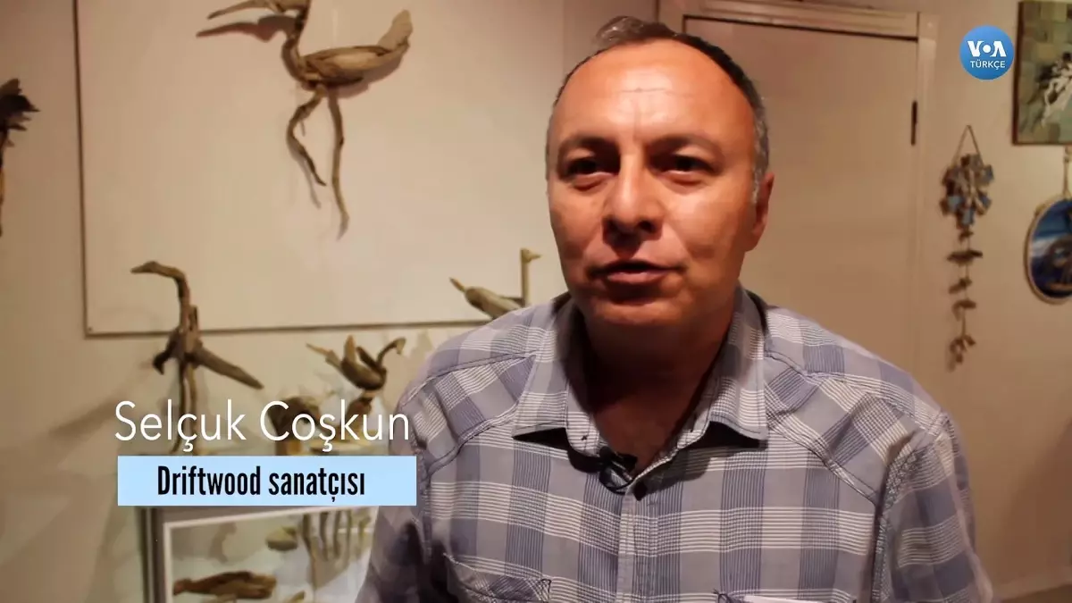 Doğadan Kopan ama Doğaya Ait Sanat: Driftwood