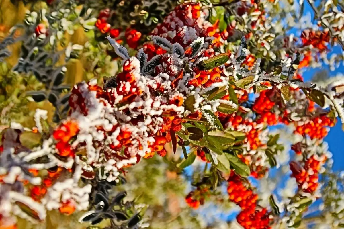 Doğu\'da geceleri hava sıcaklığı sıfırın altına düştü