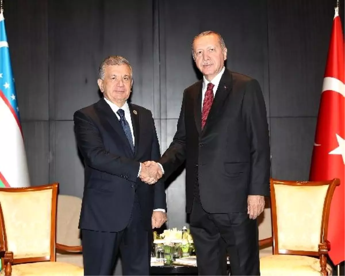 Erdoğan, özbekistan cumhurbaşkanı mirziyoyev ile bir araya geldi