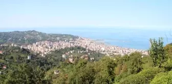 Karadeniz'de orman varlığı yok olan arazilerde sel ve heyelanlar artıyor