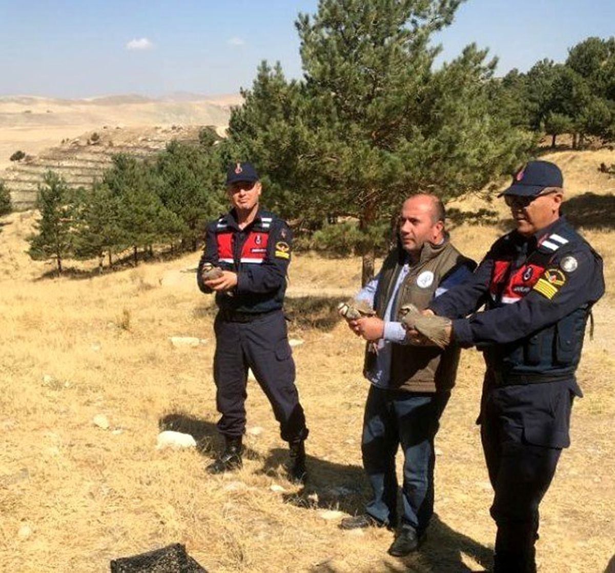 Kınalı Keklikler artık özgür