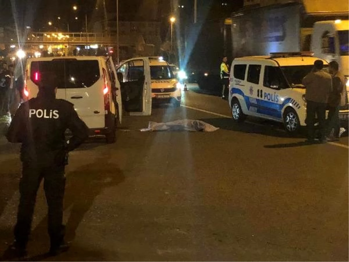 Nevşehir\'de otomobilin çarptığı yasemin, öldü