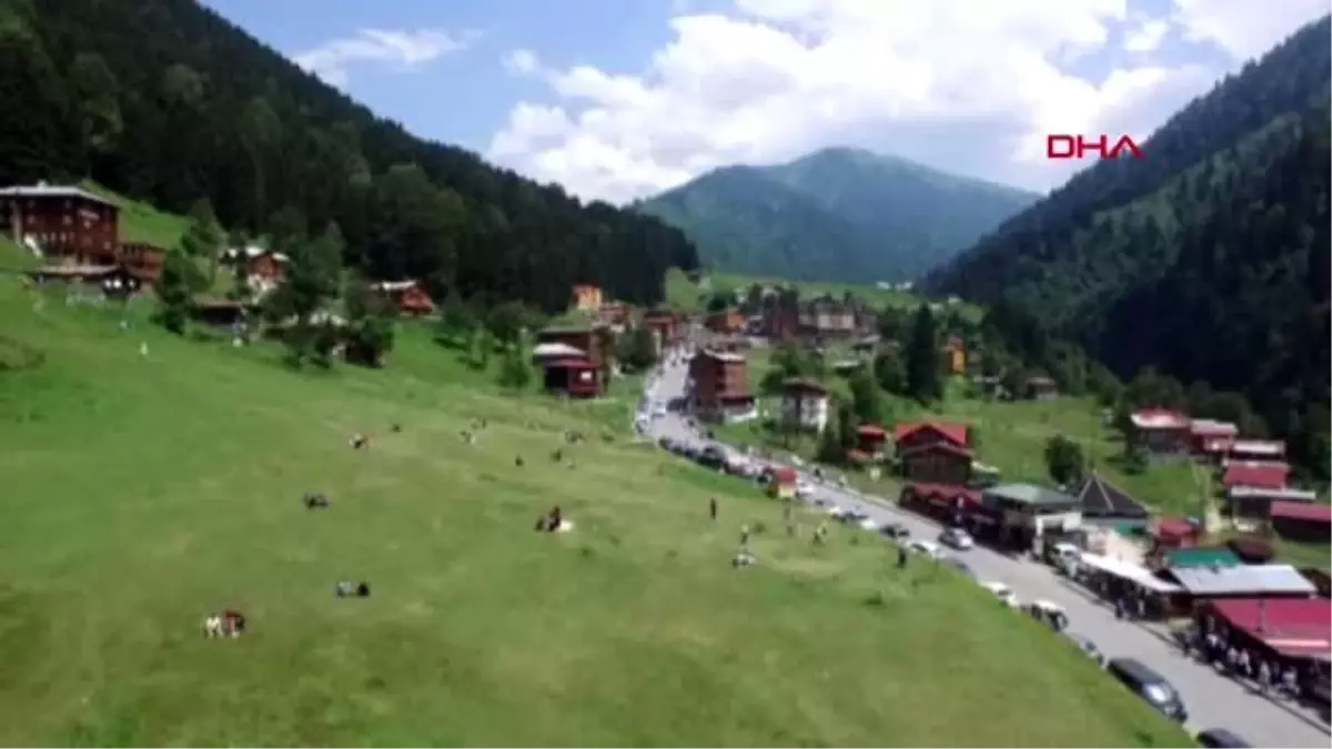 Rize ayder yaylası\'ndaki otopark ihalesi yapıldı