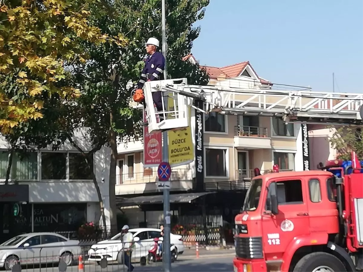 Teknik ekibe budama eğitimi verildi