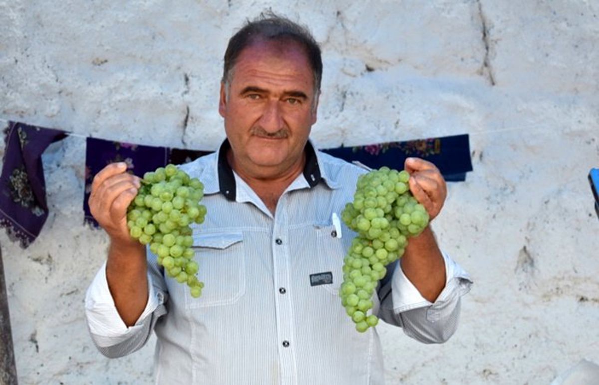 Üzüm üreticileri devlet desteği ve entegre tesis istiyor