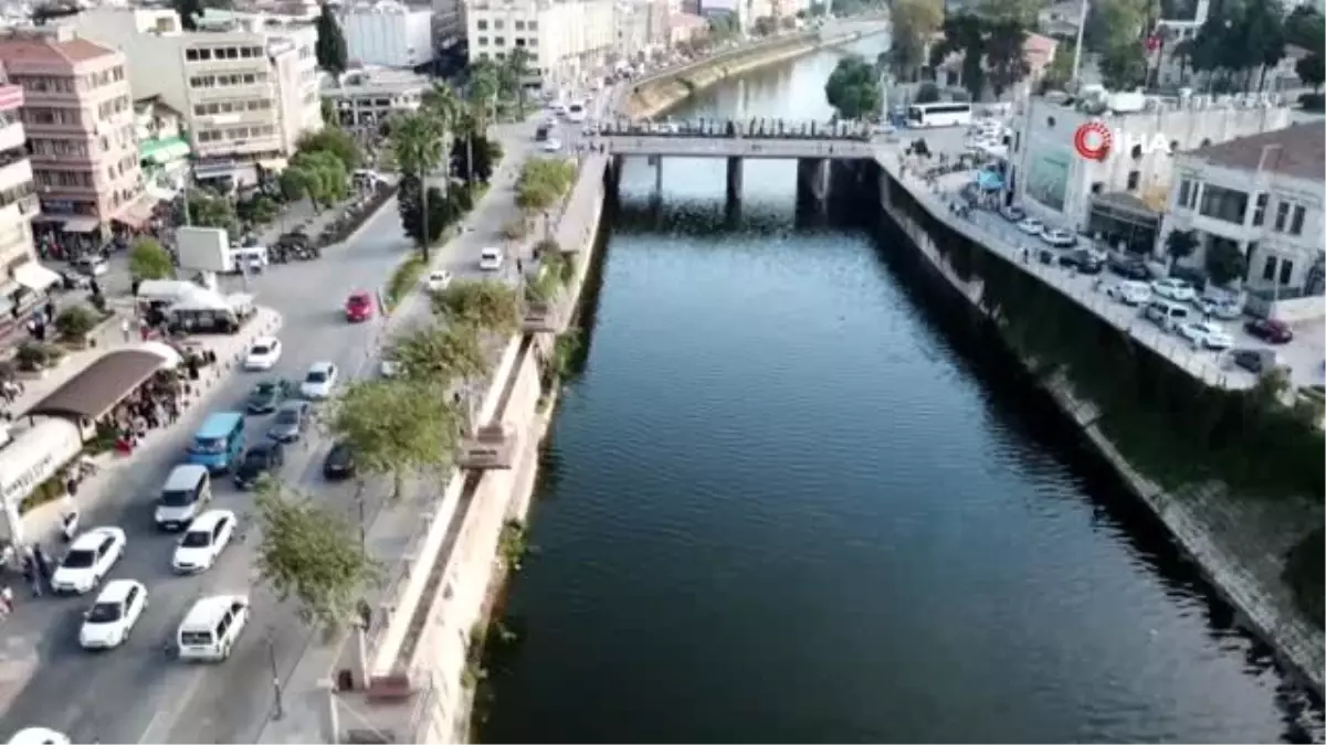 Asi Nehri\'nde su sümbülleriye mücadele