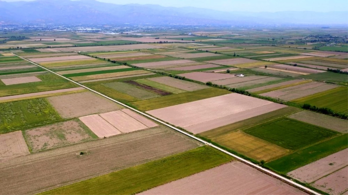 Aydın\'da 987 bin 500 dekar tarım arazisi sulandı