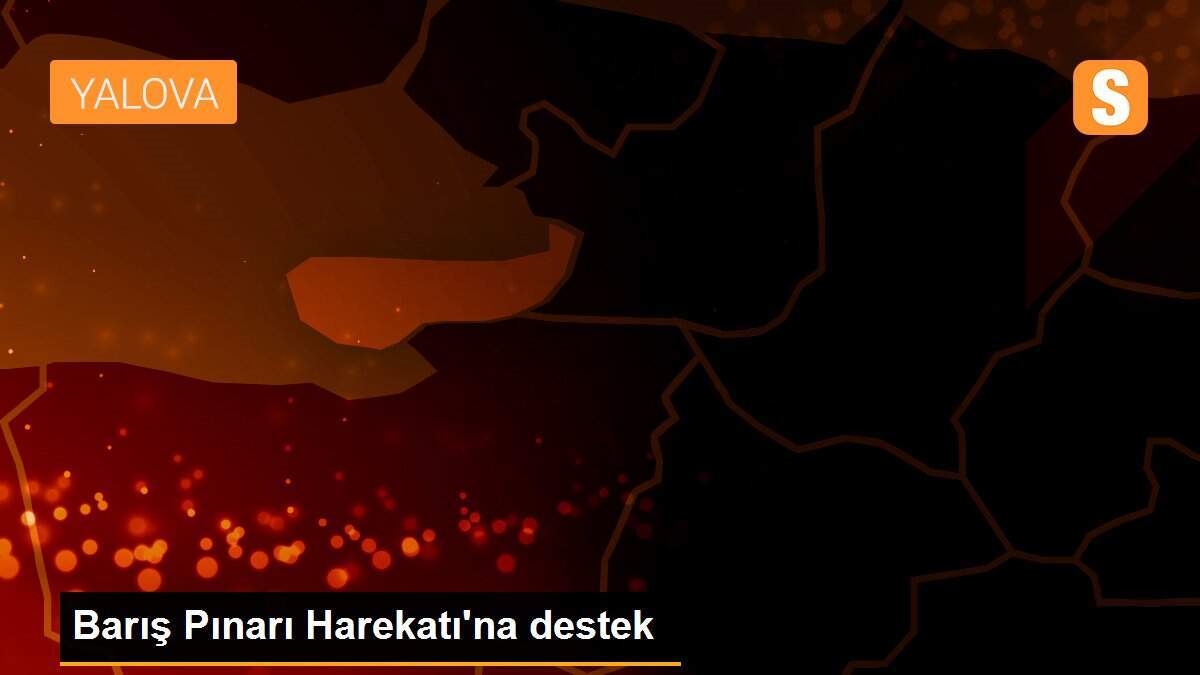 Barış Pınarı Harekatı\'na destek
