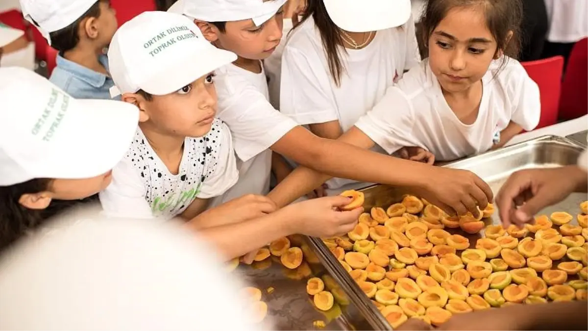 Dünya Gıda Günü: 820 milyonu aşkın kişi açlık çekiyor