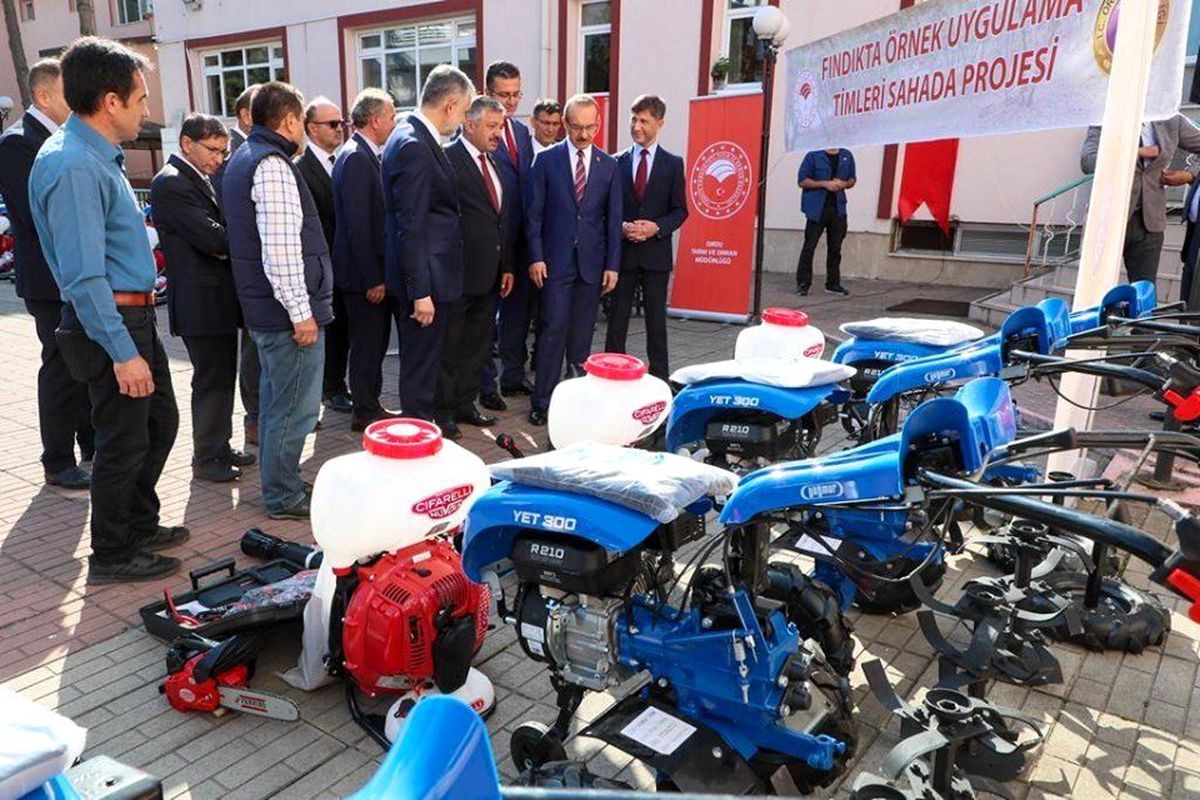 Ordu Valiliğinden fındık üreticilerine budama desteği