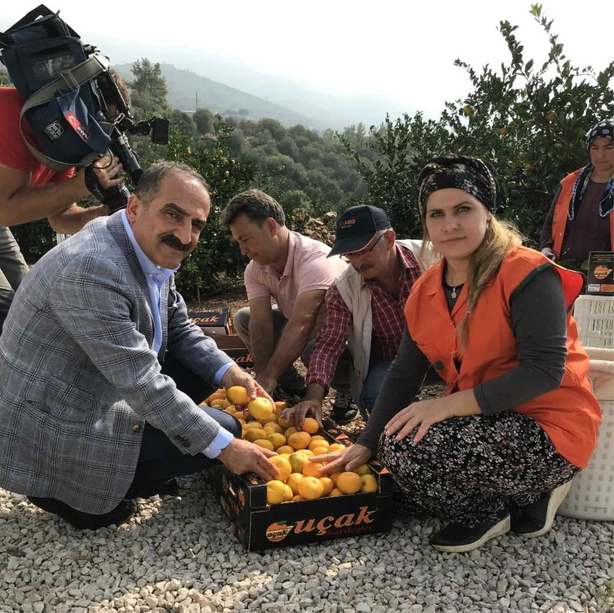 Satsuma mandalinanın ihracat yolculuğu 18 Ekim\'de başlıyor