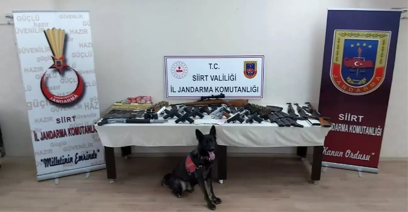 Siirt merkezli 5 ilde silah kaçakçılarına operasyon: 28 gözaltı