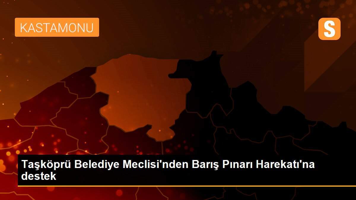 Taşköprü Belediye Meclisi\'nden Barış Pınarı Harekatı\'na destek