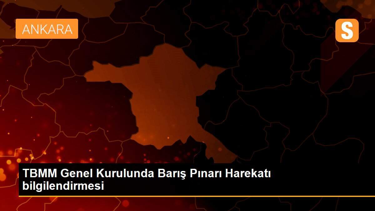 TBMM Genel Kurulunda Barış Pınarı Harekatı bilgilendirmesi