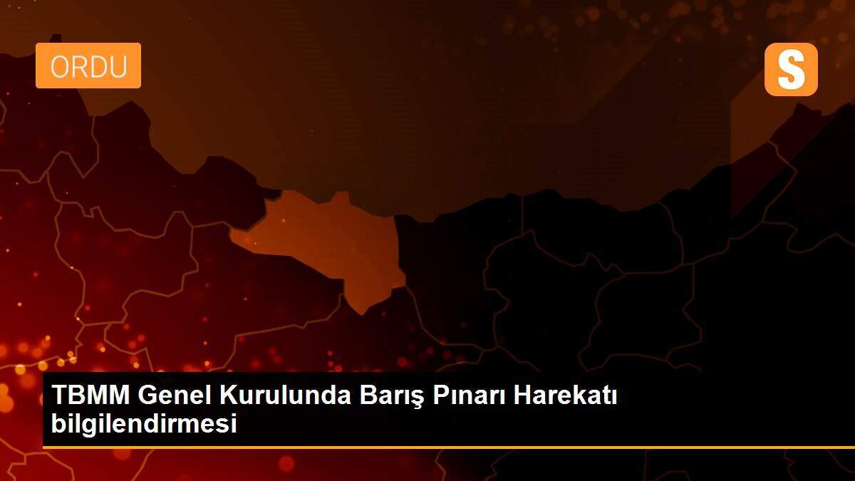 TBMM Genel Kurulunda Barış Pınarı Harekatı bilgilendirmesi