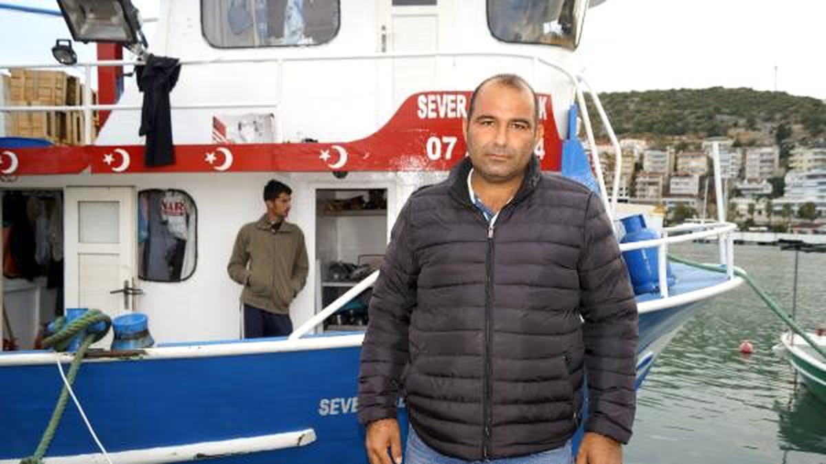 Ağına yüzlerce balon balığı takılan balıkçı: Bu balık, denizin piranası