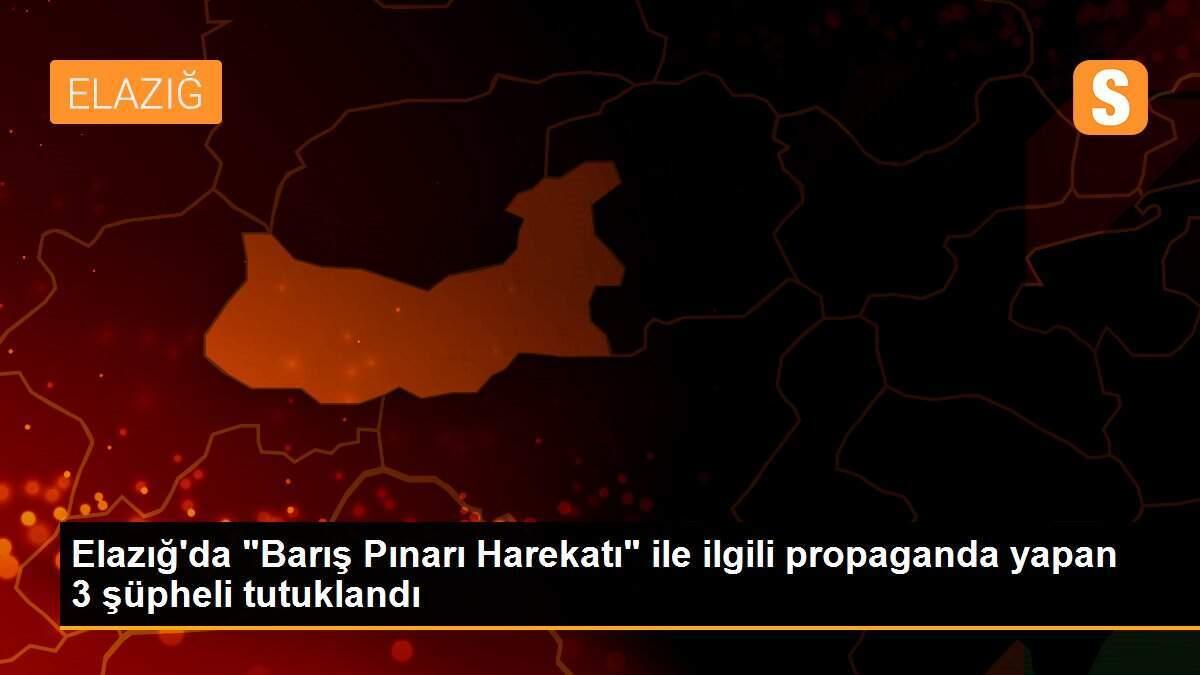 Elazığ\'da "Barış Pınarı Harekatı" ile ilgili propaganda yapan 3 şüpheli tutuklandı