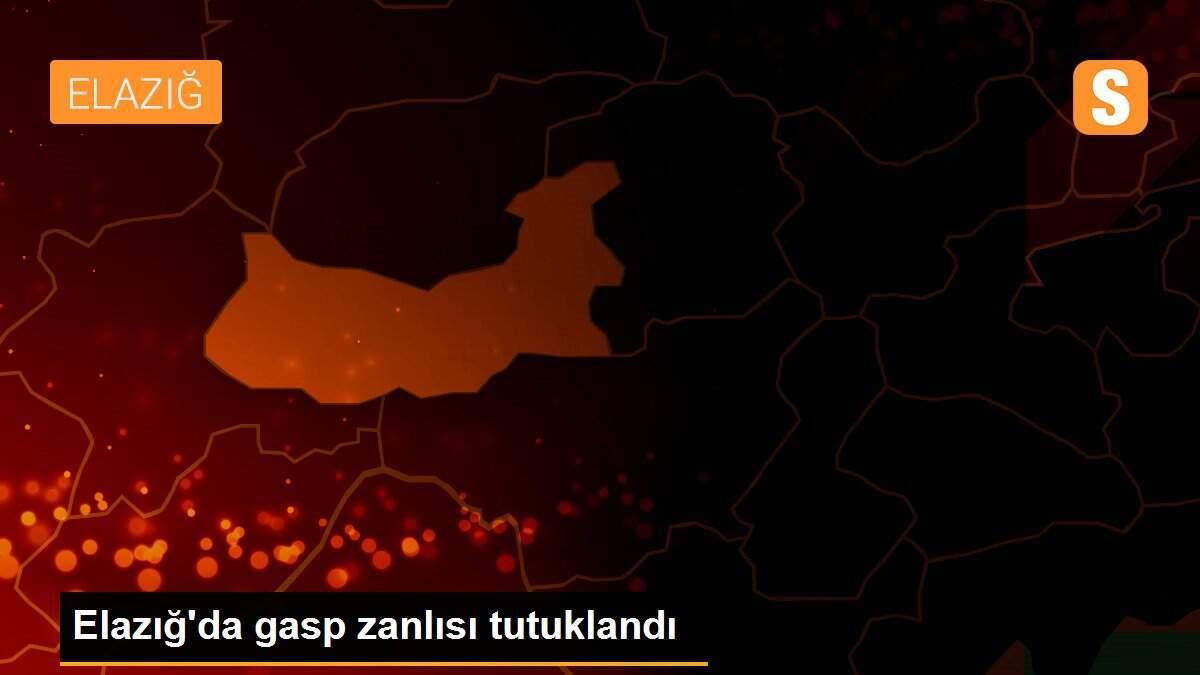 Elazığ\'da gasp zanlısı tutuklandı