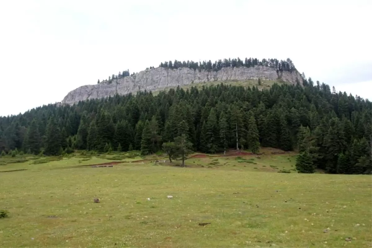 İsfendiyar Dağları\'nın saklı güzelliği: Türkeli Hacıağaç Yaylası