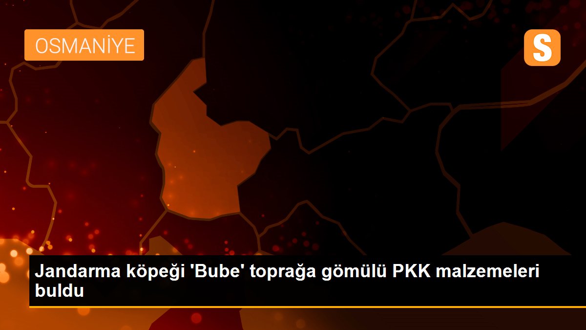 Jandarma köpeği \'Bube\' toprağa gömülü PKK malzemeleri buldu