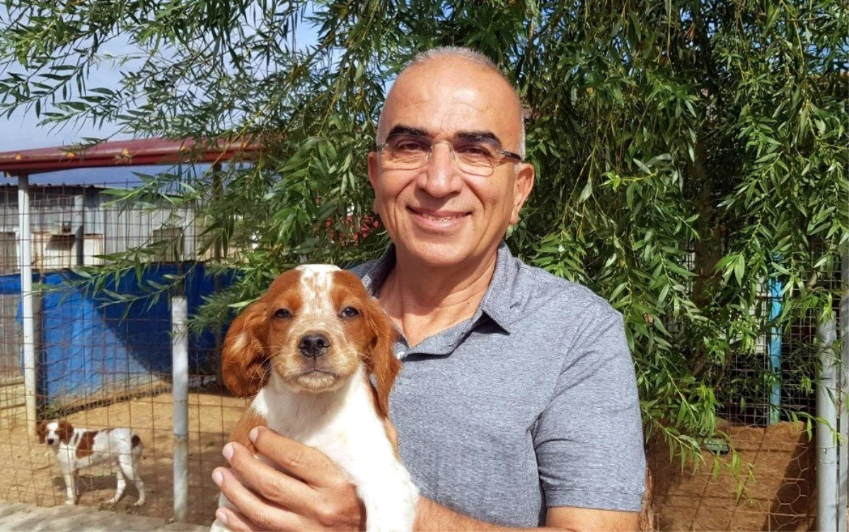 KIF Üyesi Nuri Önel; "Yerli ırklarımızın geleceği için sokak köpeği kavramı olmamalıdır"