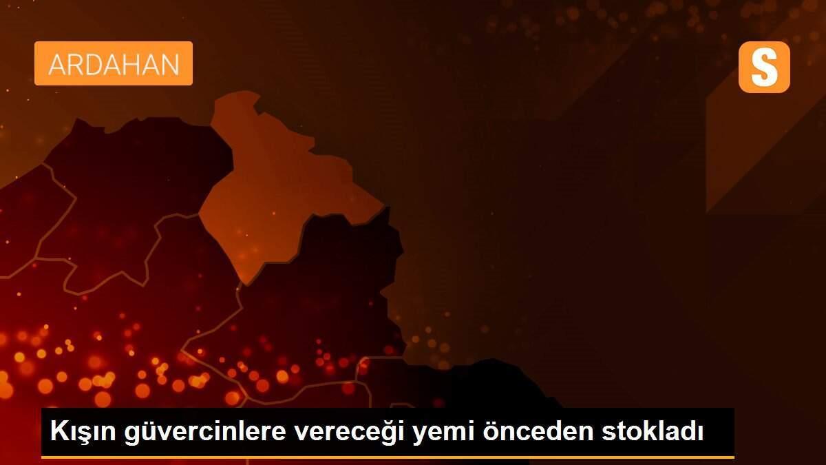 Kışın güvercinlere vereceği yemi önceden stokladı