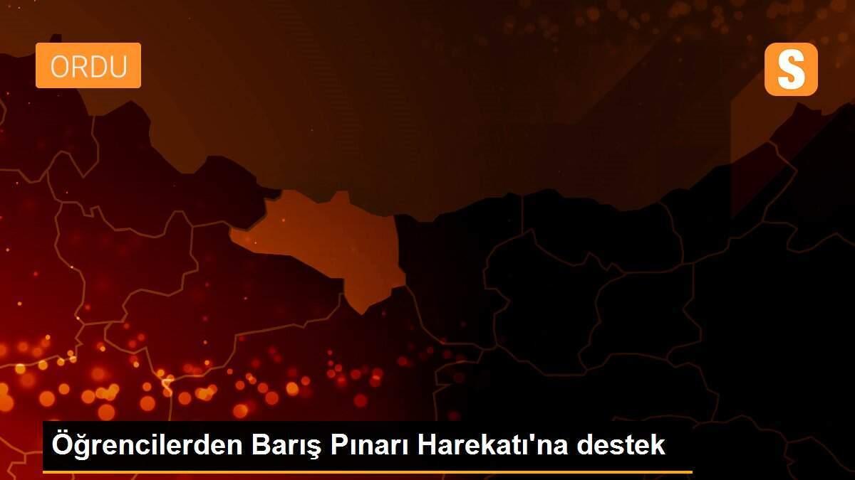 Öğrencilerden Barış Pınarı Harekatı\'na destek