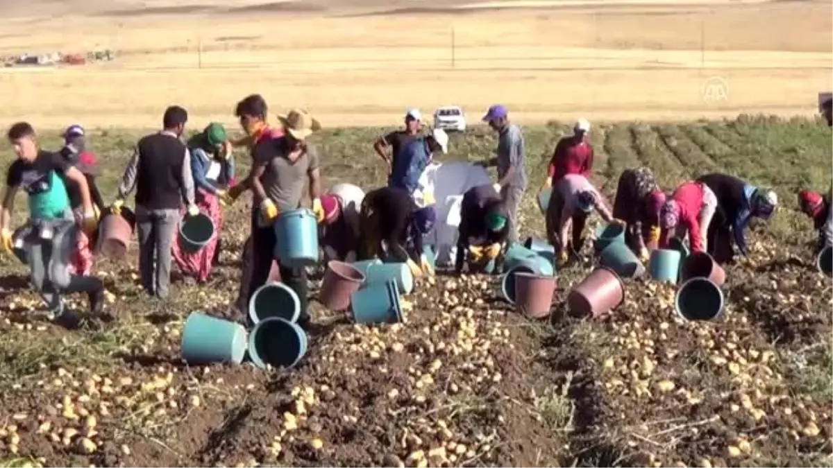 Tarım işçilerinin "ekmek" mücadelesi