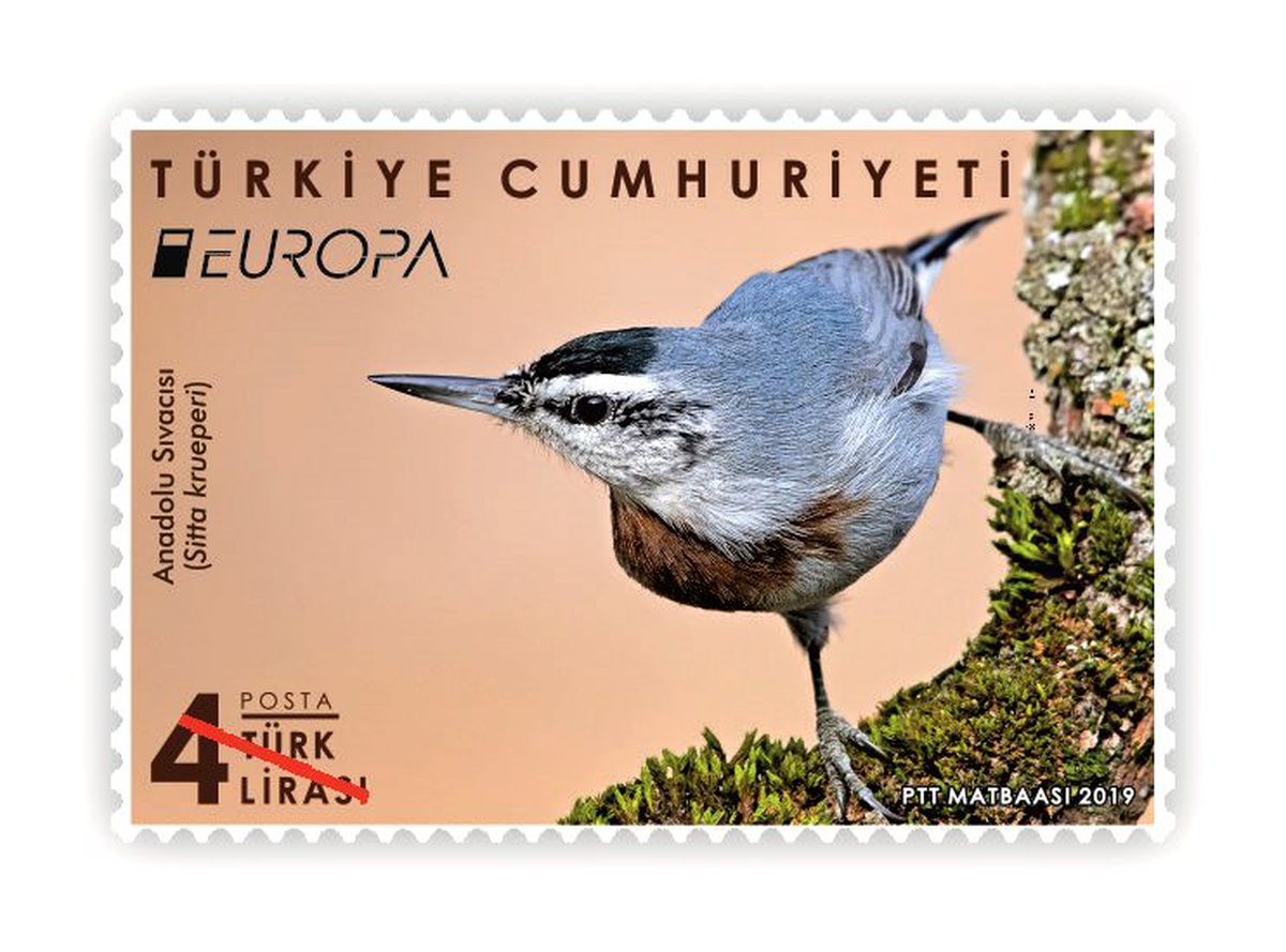 \'Anadolu Sıvacısı\' Ptt\'ye derece getirdi