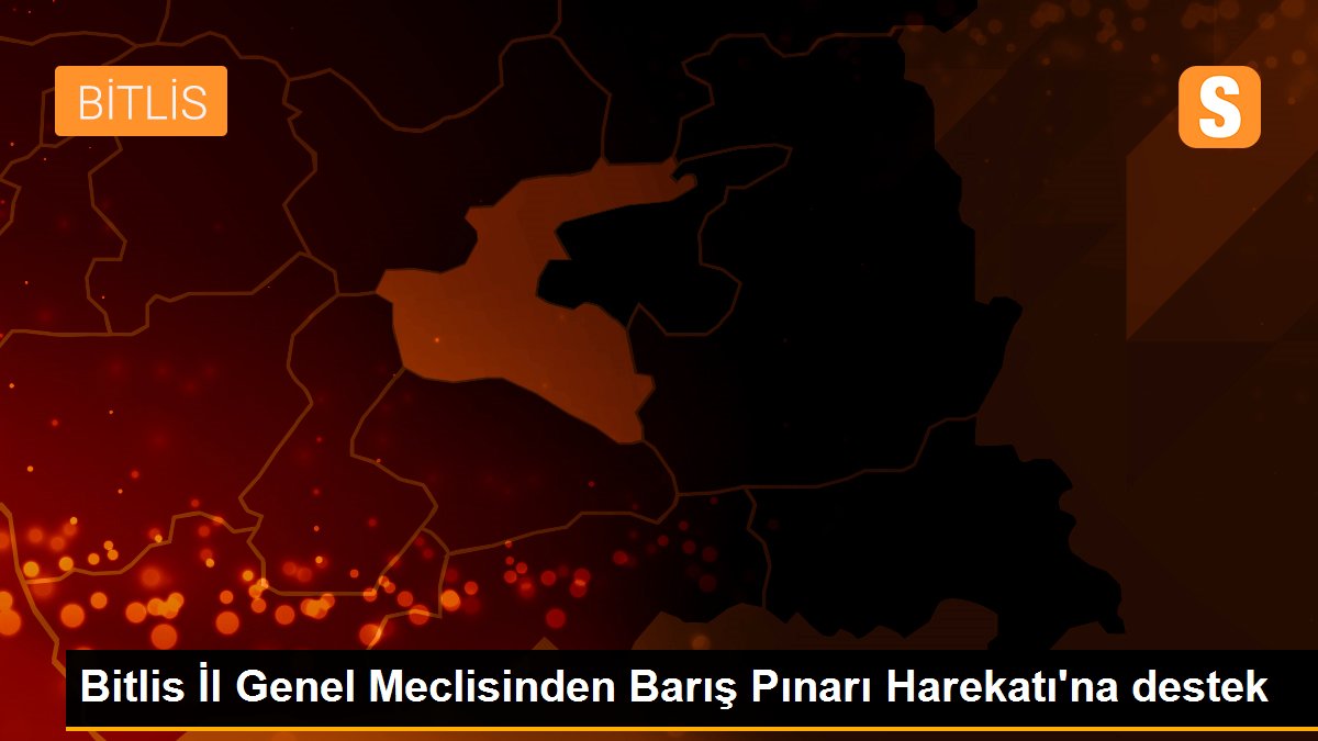 Bitlis İl Genel Meclisinden Barış Pınarı Harekatı\'na destek