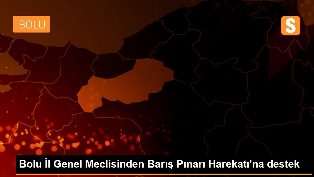 Bolu İl Genel Meclisinden Barış Pınarı Harekatı\'na destek