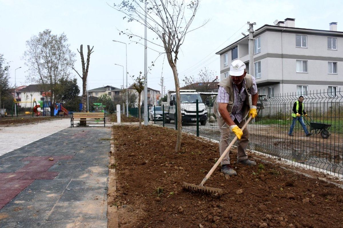 Düzce Belediyesi peyzaj çalışmasına devam ediyor