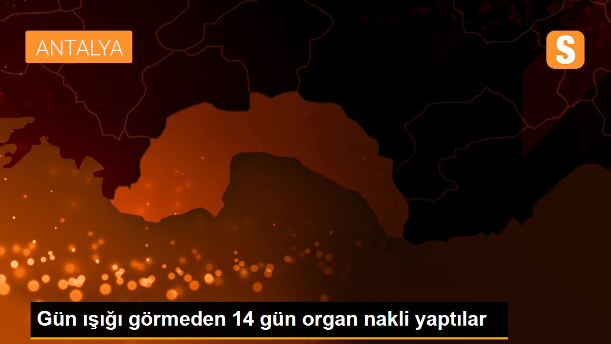 Gün ışığı görmeden 14 gün organ nakli yaptılar