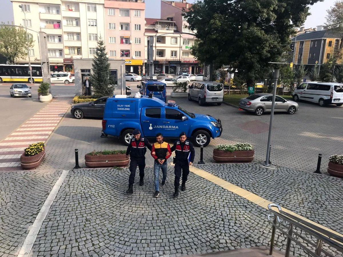 Jandarma hırsızı gizlendiği ağaç kovuğunda yakaladı