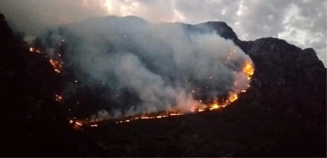 Kahramanmaraş\'ta orman yangını