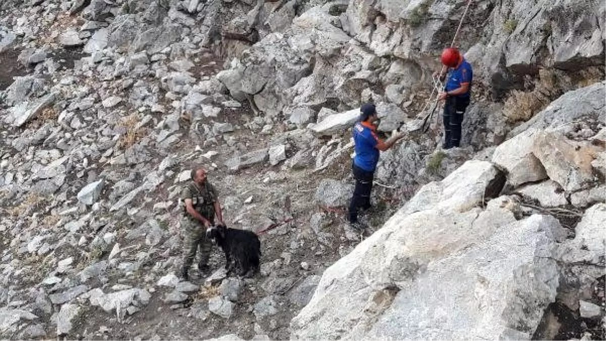 Kayalıklarda bir haftadır mahsur olan keçi, kurtarıldı