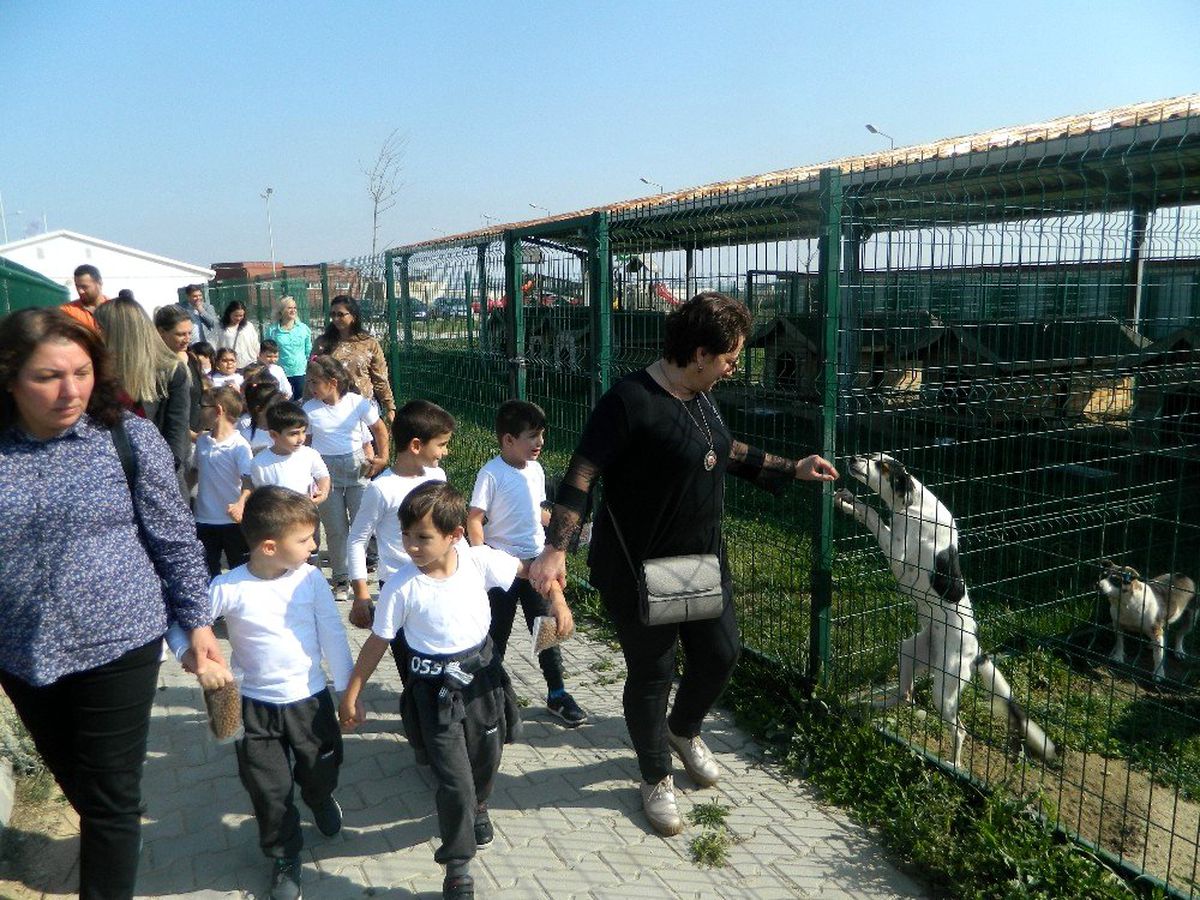 Minik öğrencilerin hayvan sevgisi