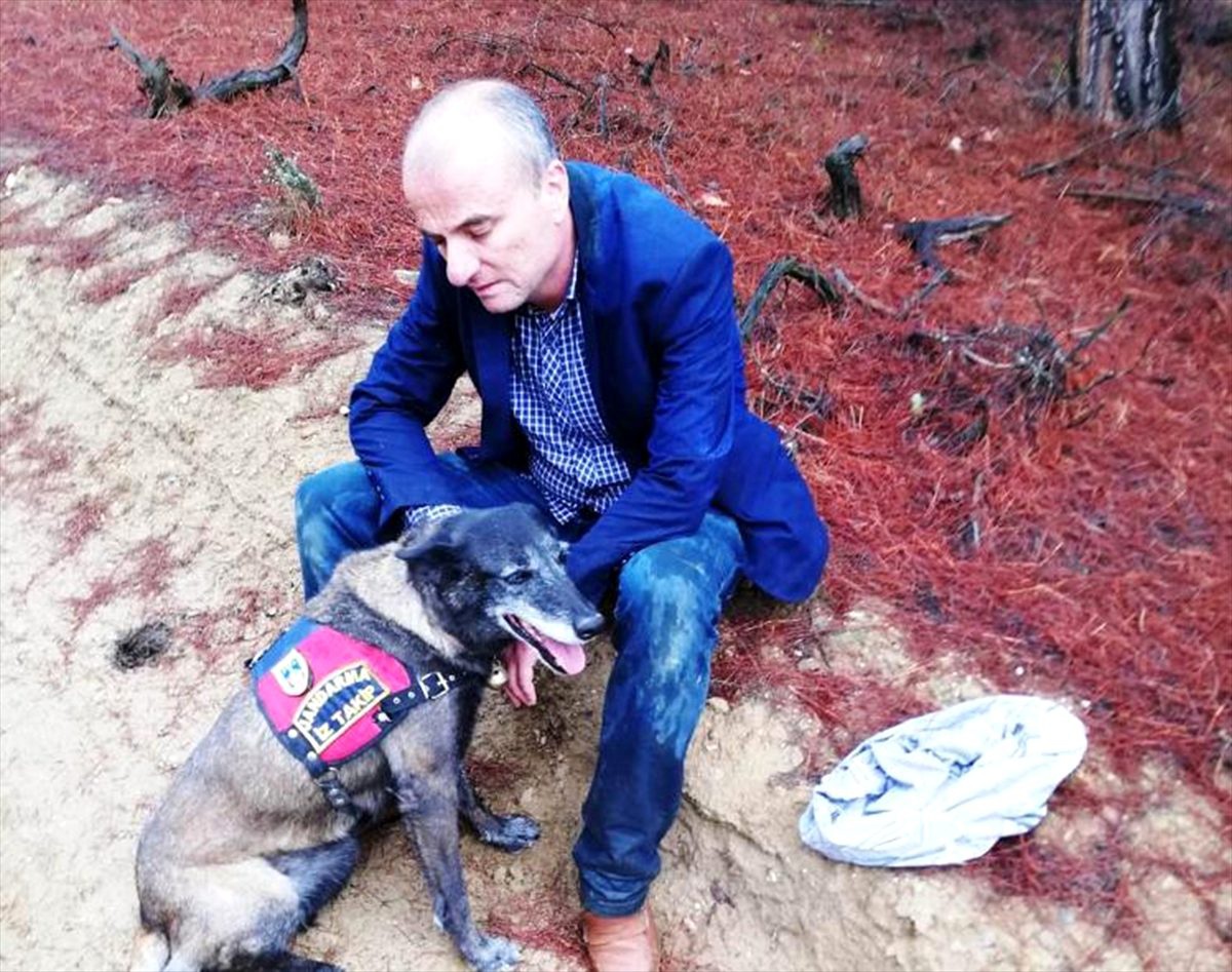 Ormanda kaybolan şube müdürünü iz takip köpeği buldu