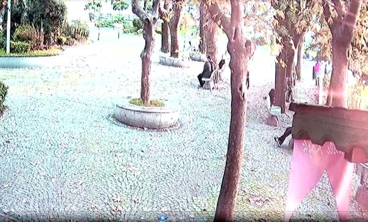 Parktaki hırsızlık güvenlik kamerasında