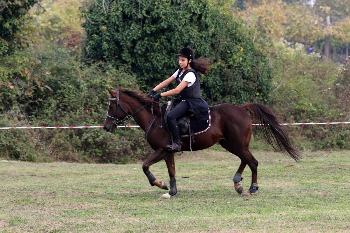 SAÜ\'de Atlı Sporlar Topluluğu bir araya geldi