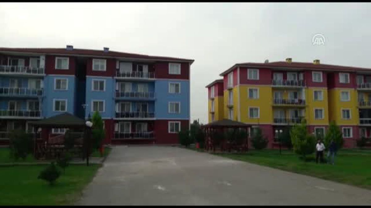 "Taraftar sitesi" renklerin kardeşliğini sergiliyor