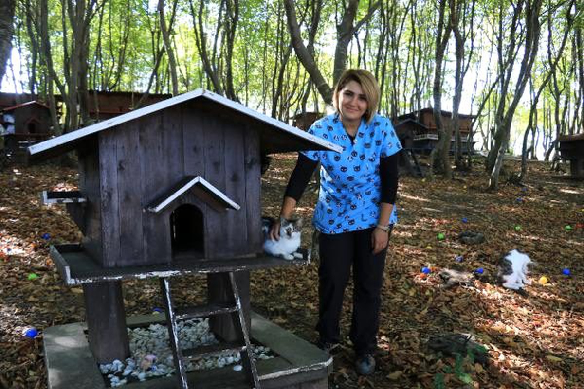 20 dönümlük alan üzerine kurulu \'Kedi Kasabası\'
