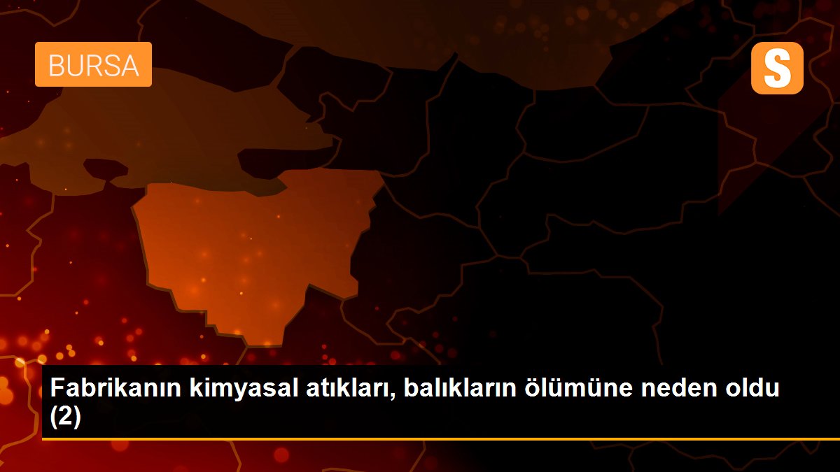 Fabrikanın kimyasal atıkları, balıkların ölümüne neden oldu (2)