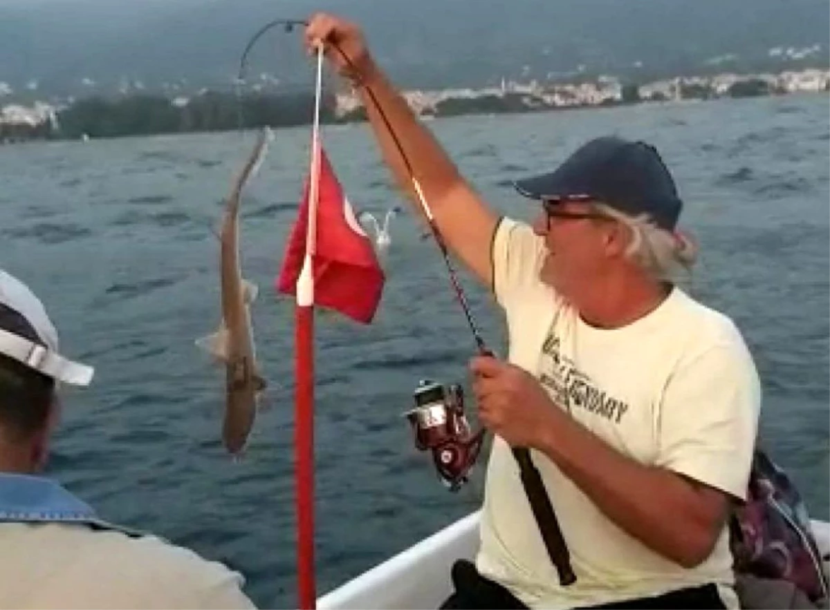 İzmir\'de art arda köpek balığı heyecanı