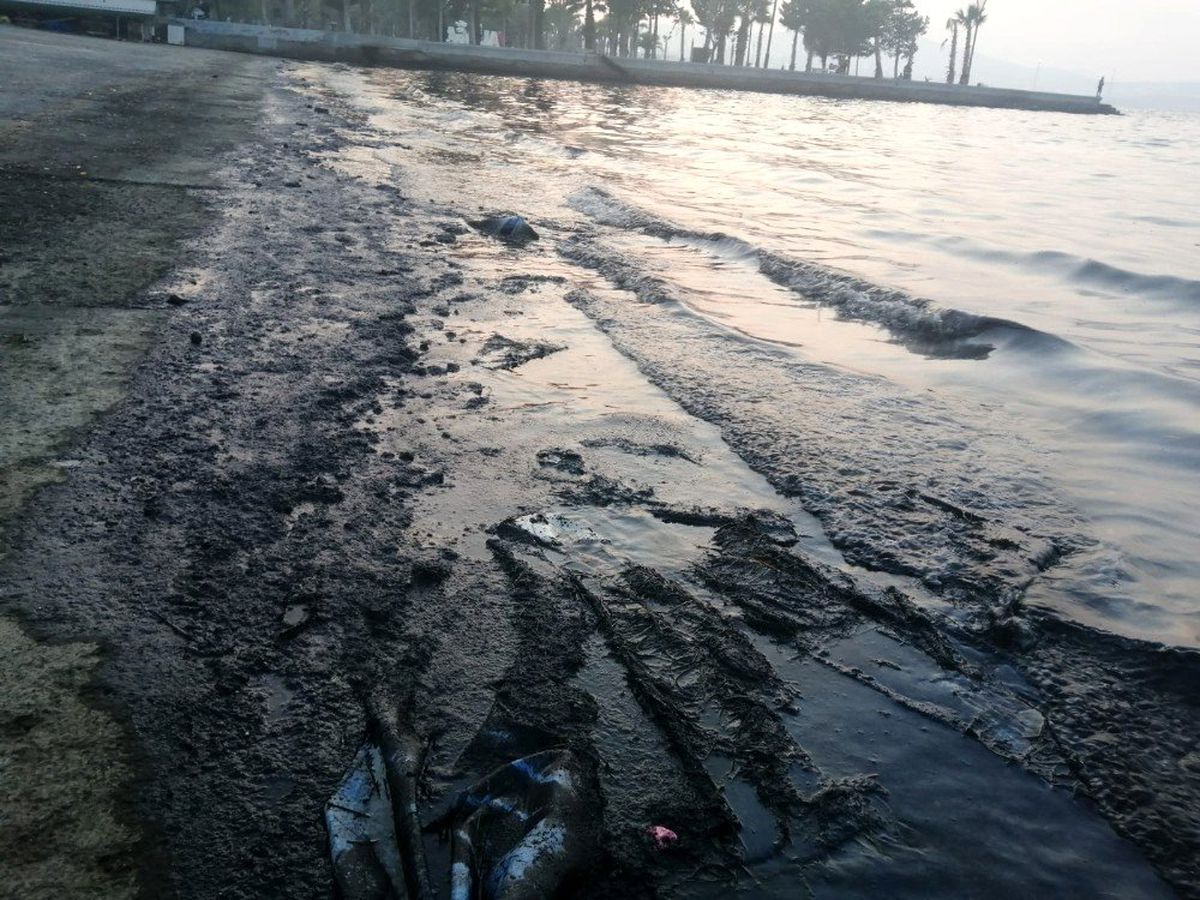 İzmir\'de denizde korkutan manzara