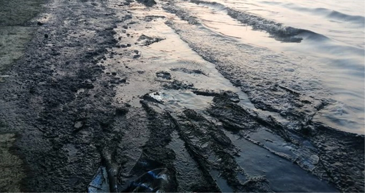 İzmir\'de petrol türevi atıklar denizi kirletti, ekipler bölgede çalışma başlattı