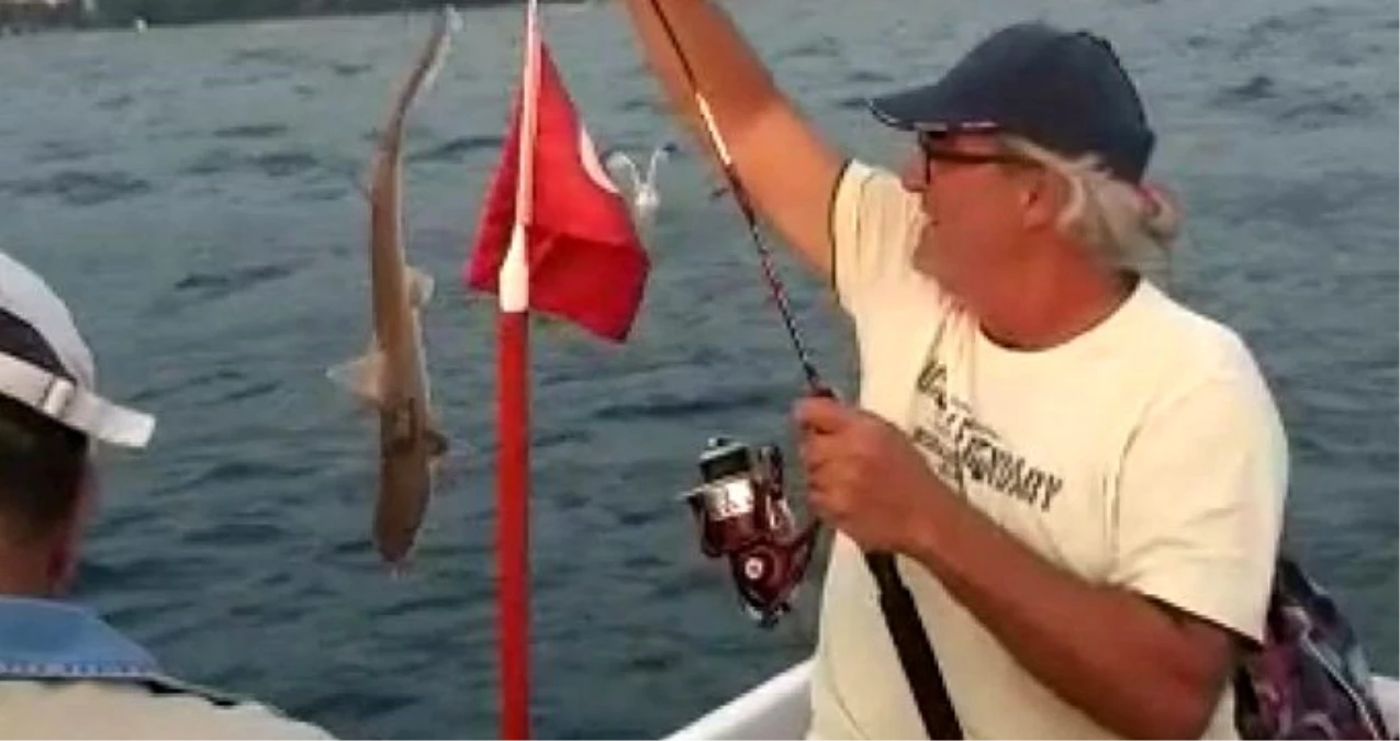 İzmir\'de sandalla denize açılan ailenin oltasına iki adet köpek balığı takıldı