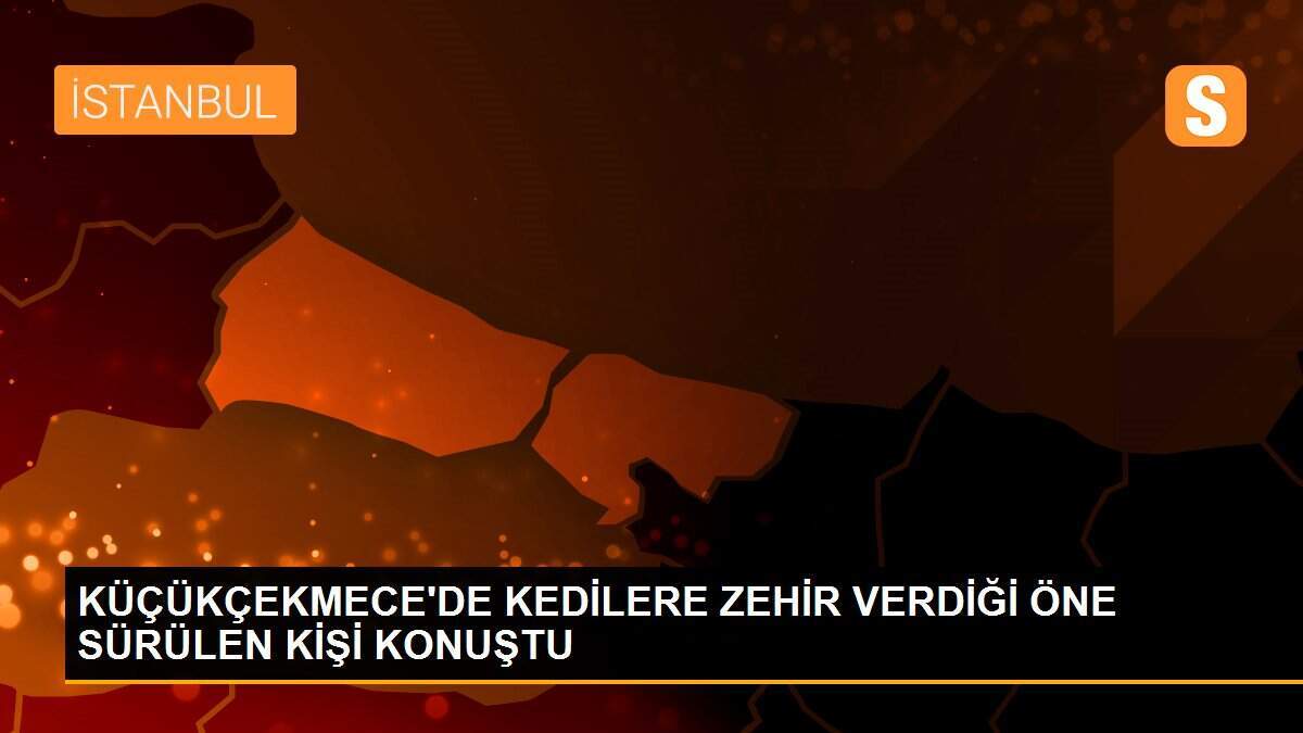 KÜÇÜKÇEKMECE\'DE KEDİLERE ZEHİR VERDİĞİ ÖNE SÜRÜLEN KİŞİ KONUŞTU