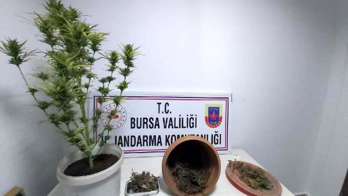 Lokantada 1 kilo 100 gram esrar ele geçirildi